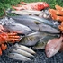О контроле качества и безопасности рыбы и морепродуктов